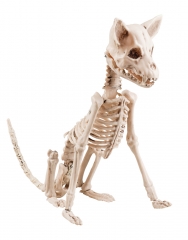 Skelett Tierskelett Hundeskelett Halloweendekoration Halloweenfigur